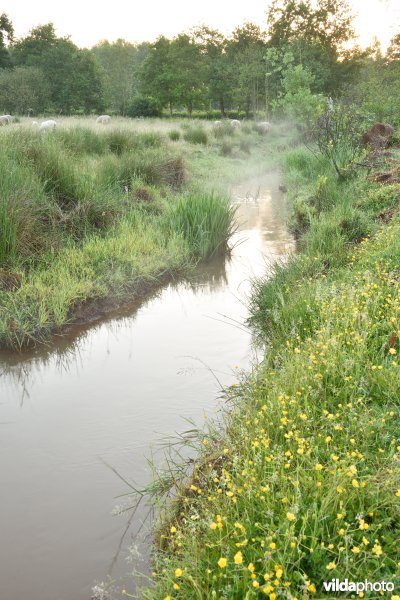 Natuurreservaat De Vennen