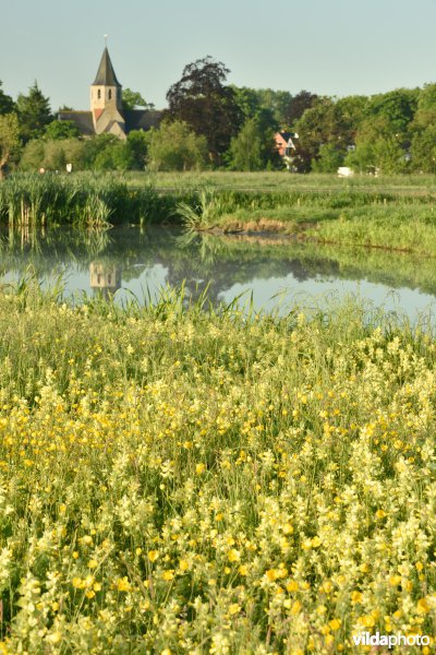 Oude Leie in de Assels