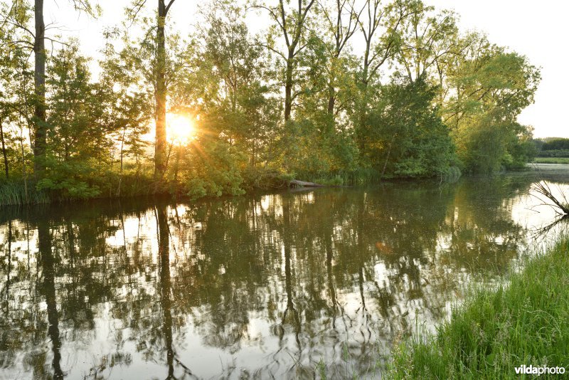 Natuurreservaat Bourgoyen