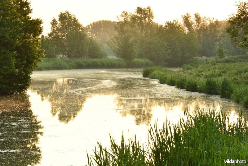 Natuurreservaat Bourgoyen