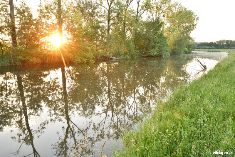 Natuurreservaat Bourgoyen