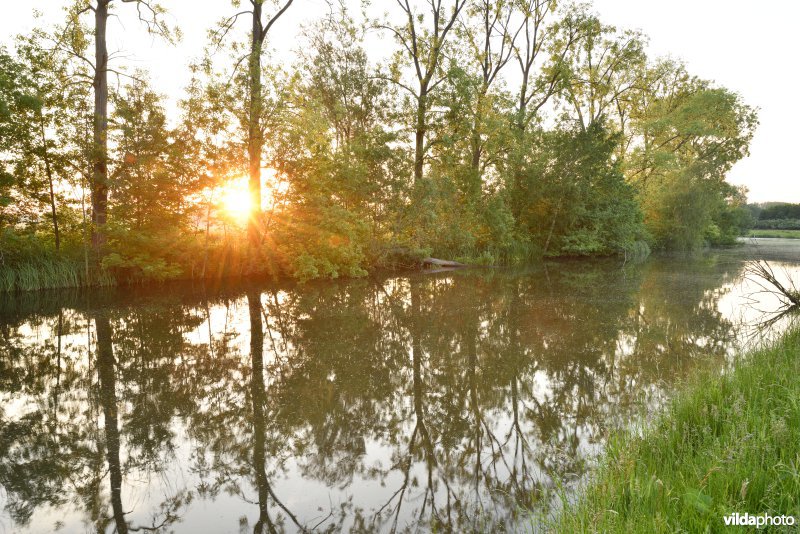 Natuurreservaat Bourgoyen