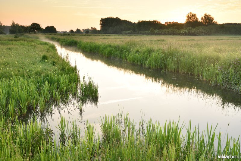 Natuurreservaat Bourgoyen