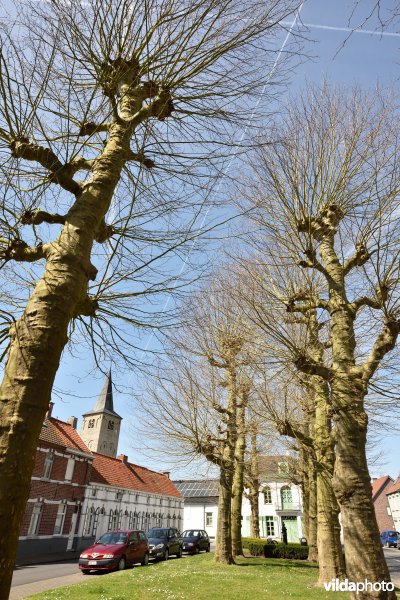 Lijnwaadmarkt Ename