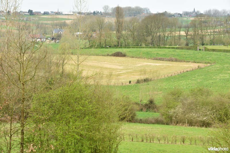 Parkbos-Uilenbroek