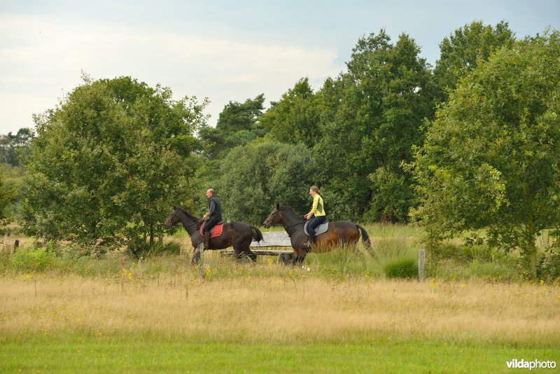 Natuurreservaat De Liereman