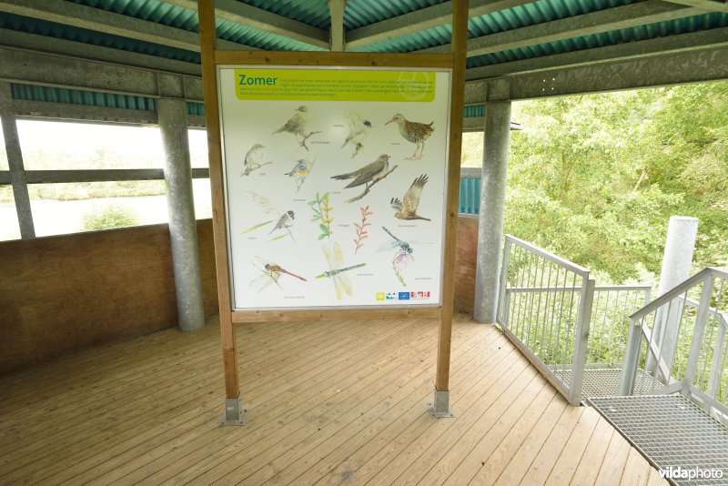 Kijktoren in het natuurreservaat De Liereman