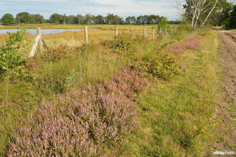 Natuurreservaat De Liereman