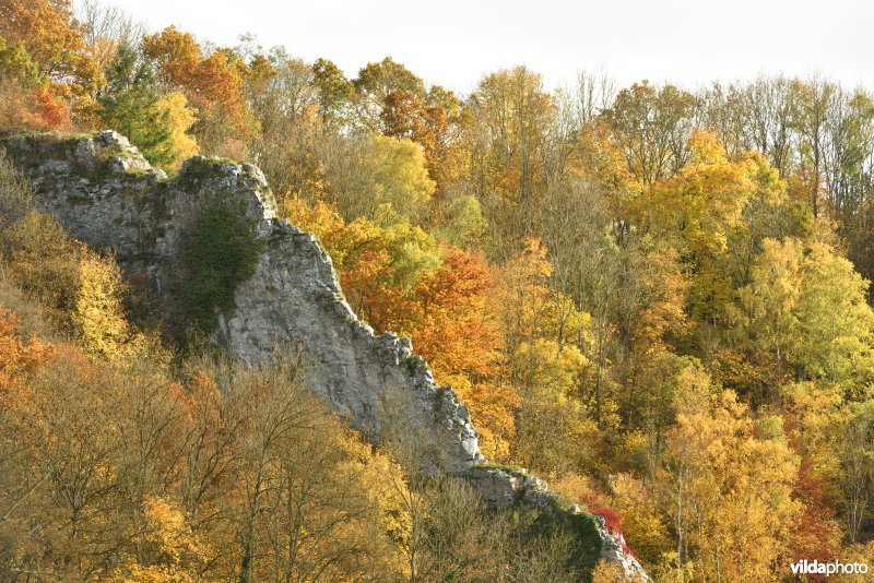 Vallei van de Hoyoux