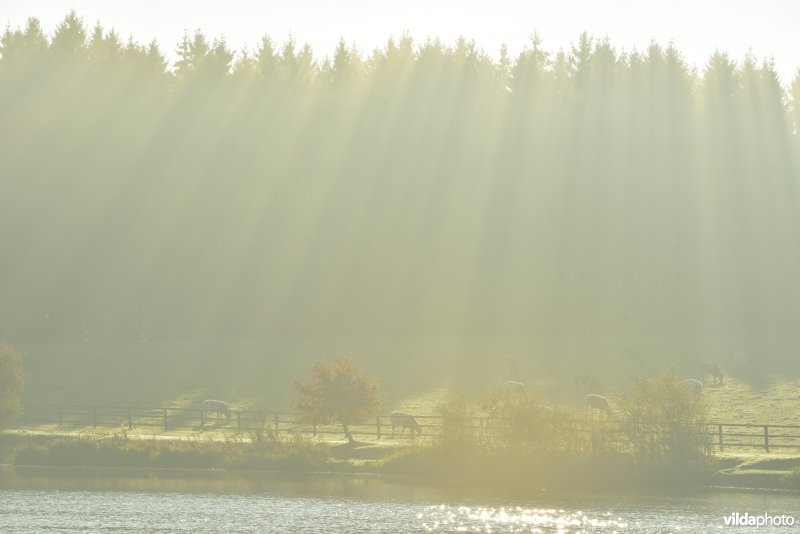 Meer van Boiron