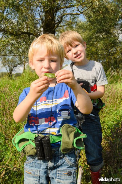 Kleuters op natuuronderzoek