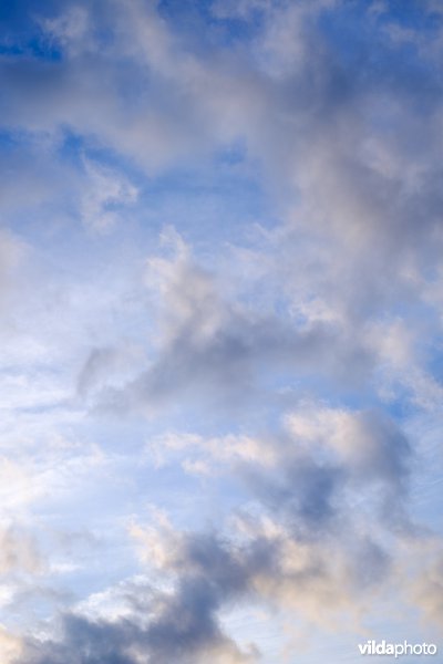 Wolken