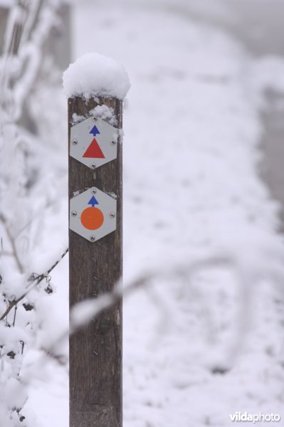 Besneeuwd wandelpad met paaltje