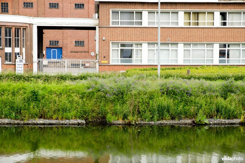 Natuurvriendelijke oever