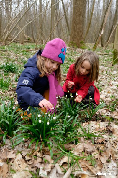Lenteboeiers bewonderen