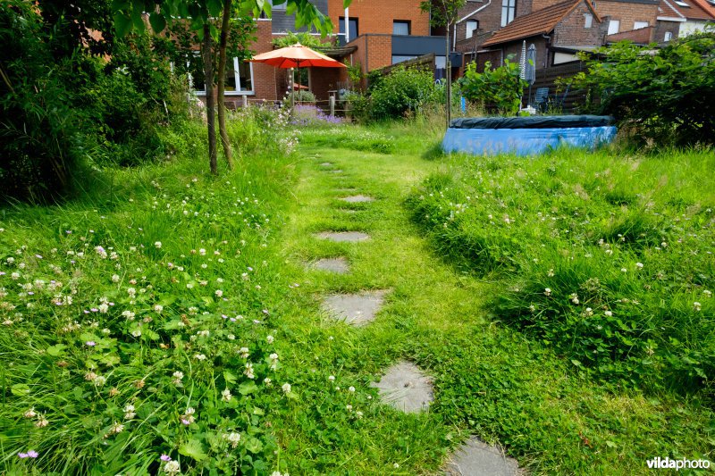 Natuur- en kindvriendelijke tuin