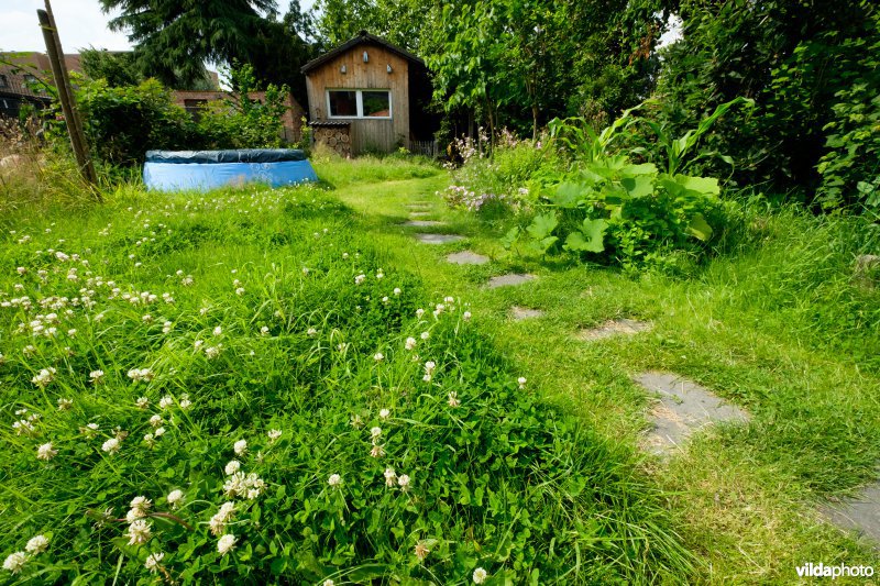 Natuur- en kindvriendelijke tuin