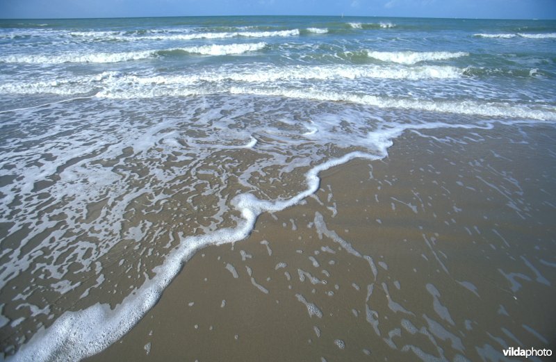 Golven op het strand