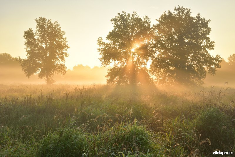 Vallei van de Grote Nete