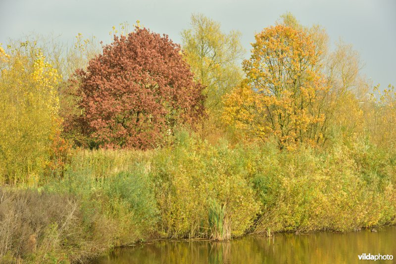 KBR polder: Barbierbeek