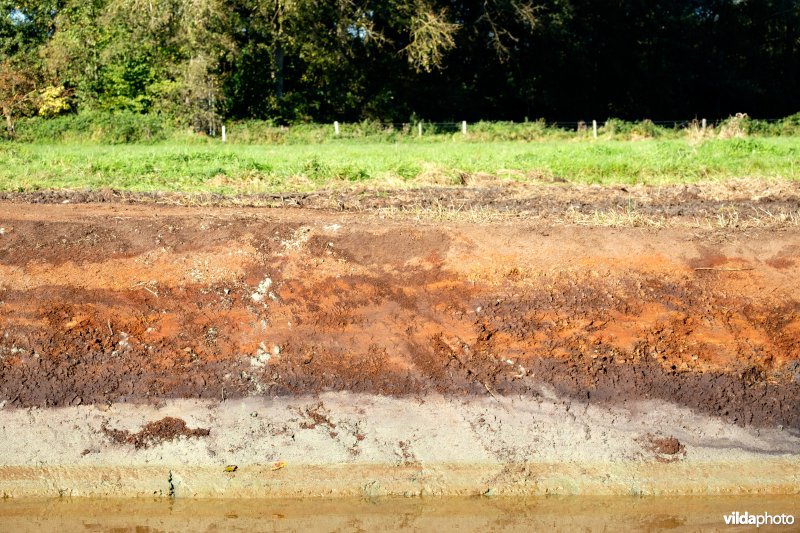 Bodemprofiel bij een hermeanderingsproject