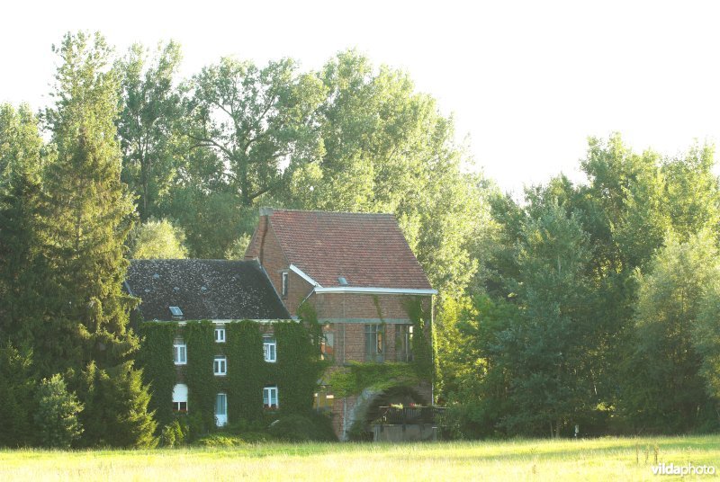 Eetveldemolen op de Mark