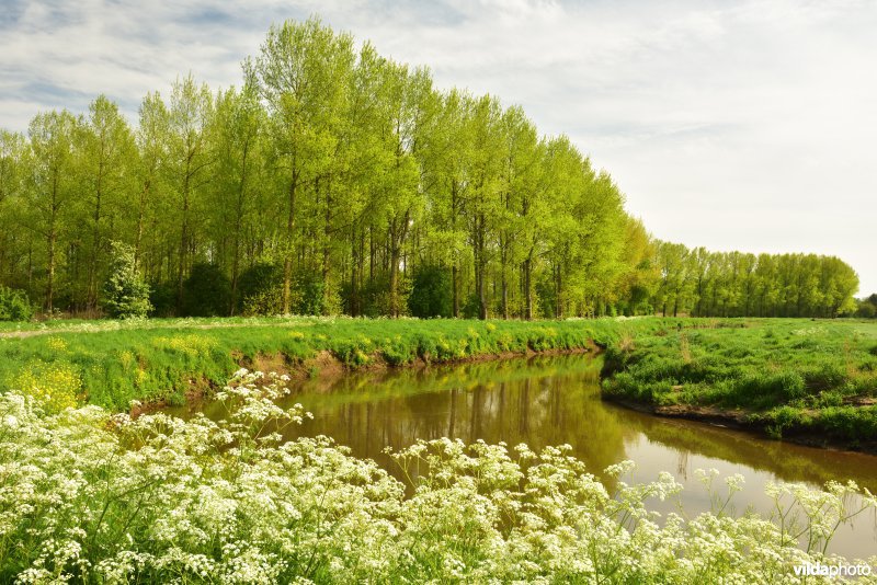 Demervallei: Molenstedebroek