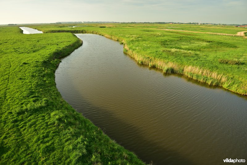 Blankenbergse vaart