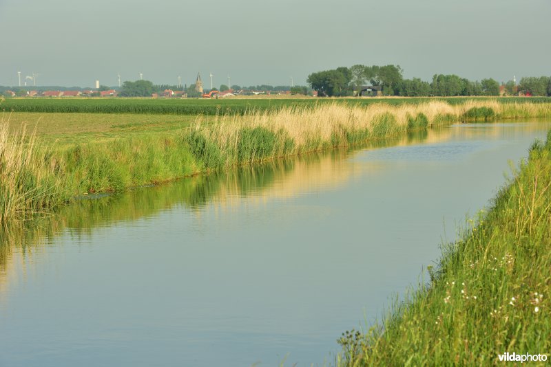 Blankenbergse vaart