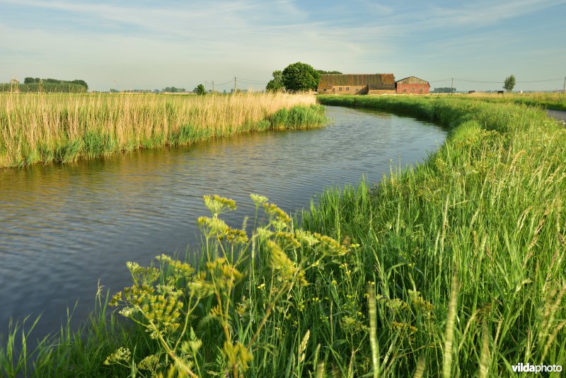 Blankenbergse vaart