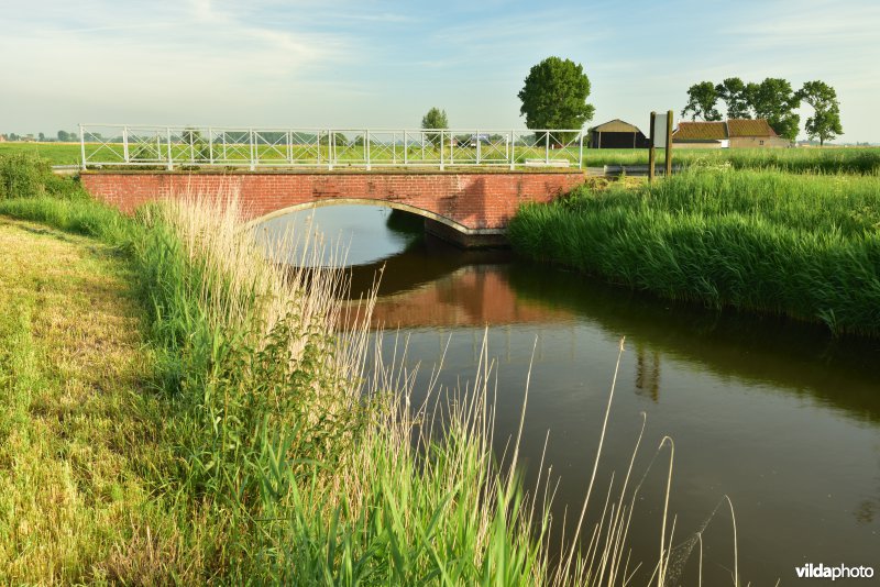 Blankenbergse vaart