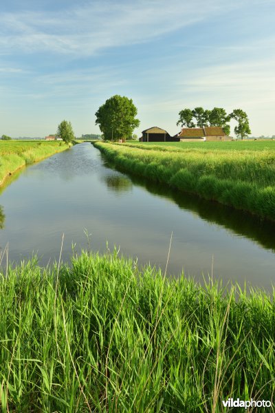 Blankenbergse vaart