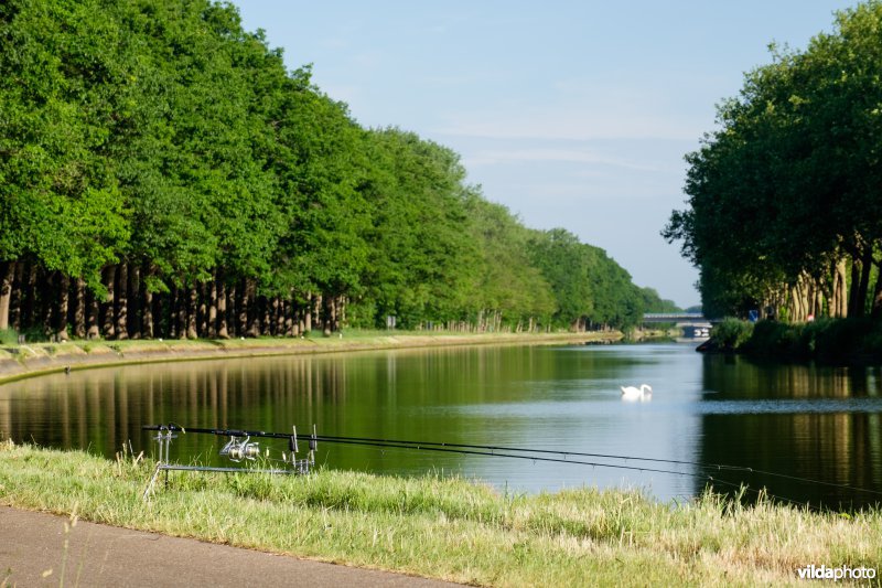 Kanaal Bocholt-Herentals in Limburg