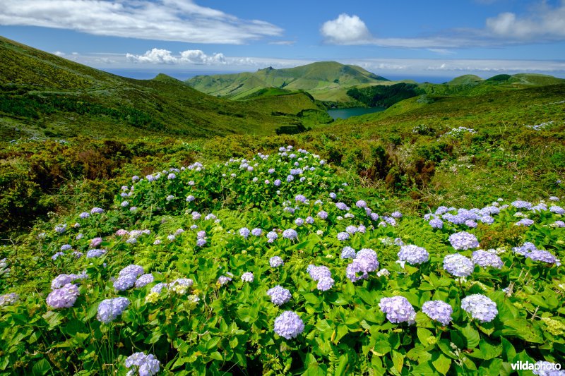 Natuurgebied op Flores