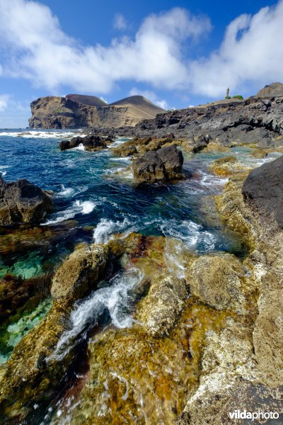 Rotspoeltjes in rotskust