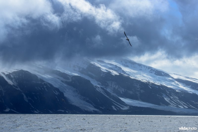 Jan Mayen