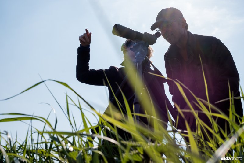 Vogels kijken met telescoop