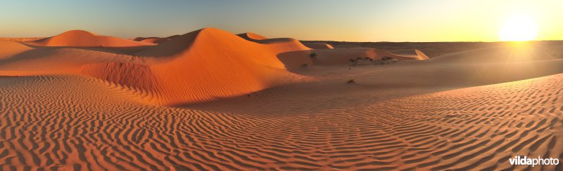 Woestijn in Oman