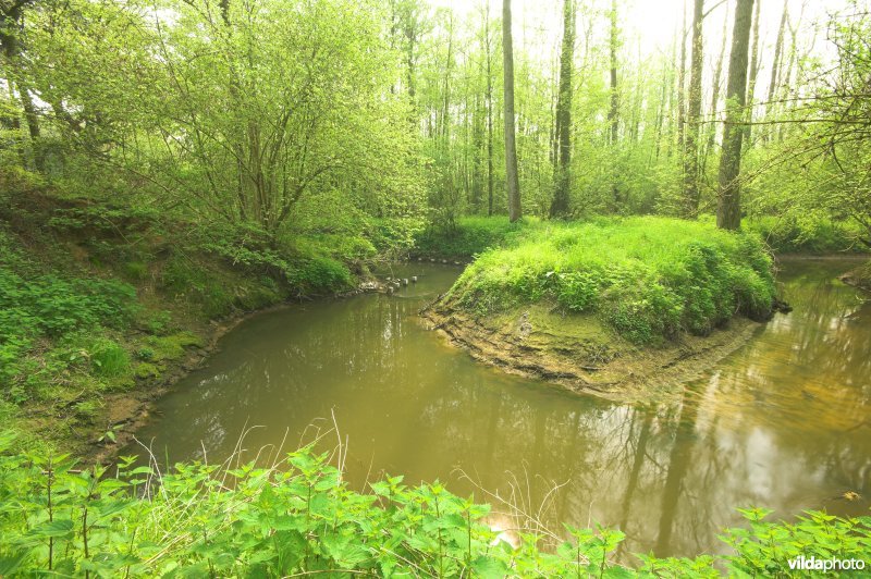 Bosreservaat Rooiveld