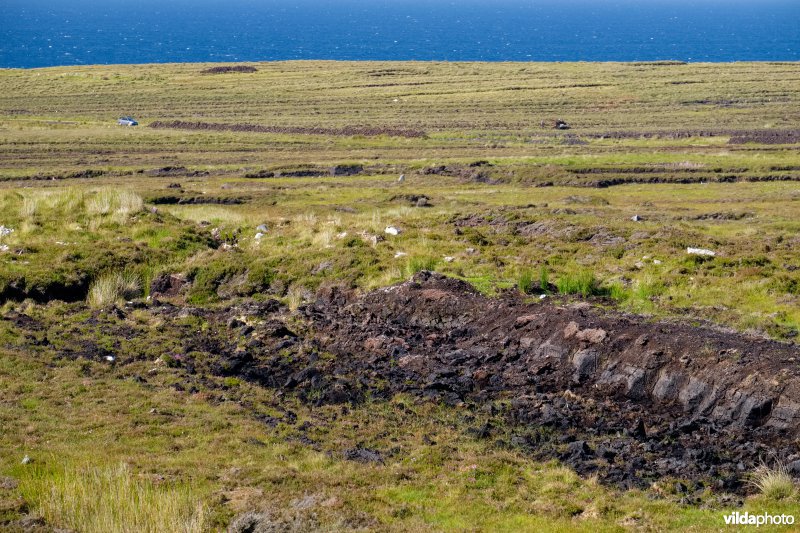 Veenwinning in Ierland