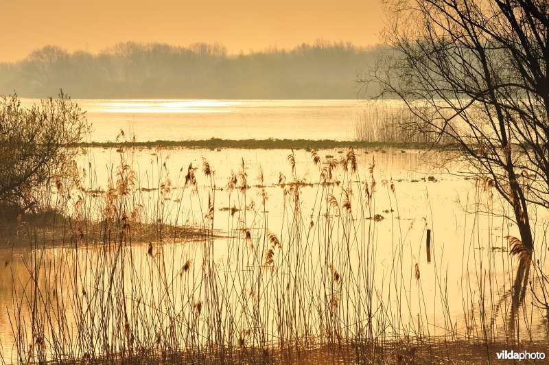 Het Kijkverdriet langs de Schelde