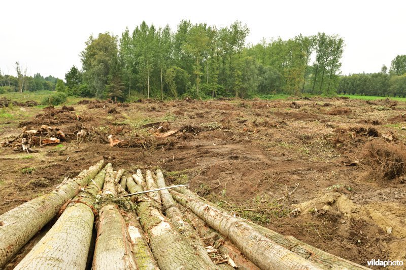 Rooiwerken in de Vlassenbroekse polders