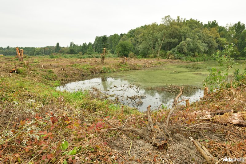 Vlassenbroekse polder