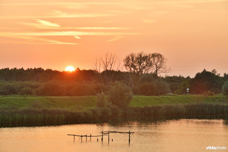 Natuurreservaat Lier-Anderstad