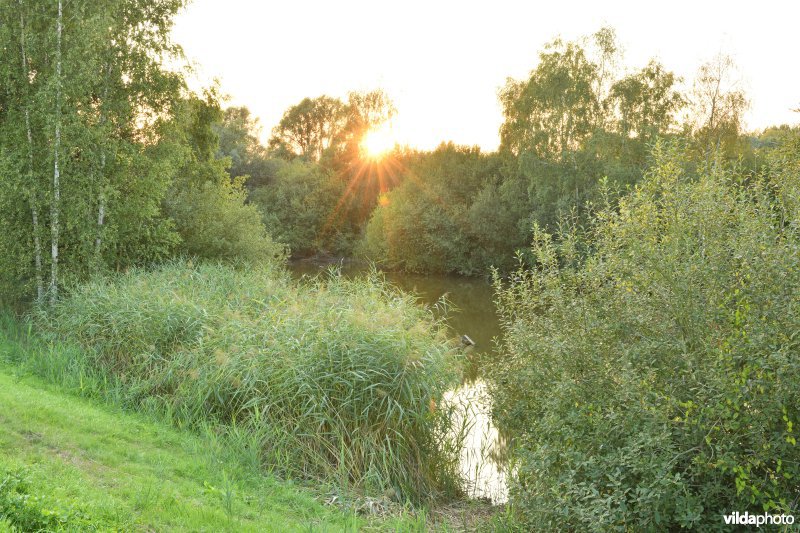 Natuurreservaat Lier-Anderstad