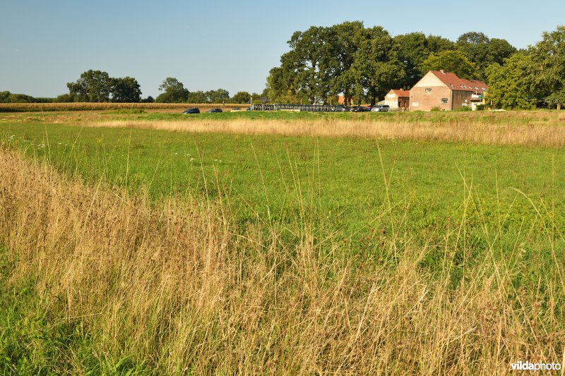 Vallei van de Grote Nete en de Hagelandse Heibeek