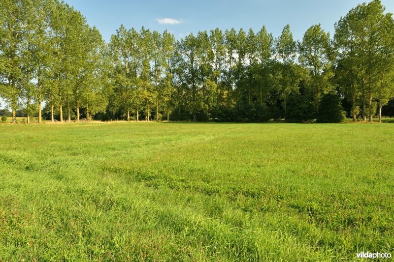 Vallei van de Grote Nete