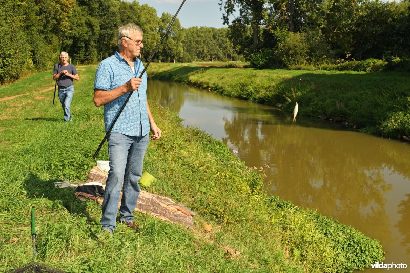 Hengelaar aan de Grote Nete