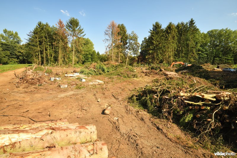 Afbraak van weekendverblijf langs de Grote Nete
