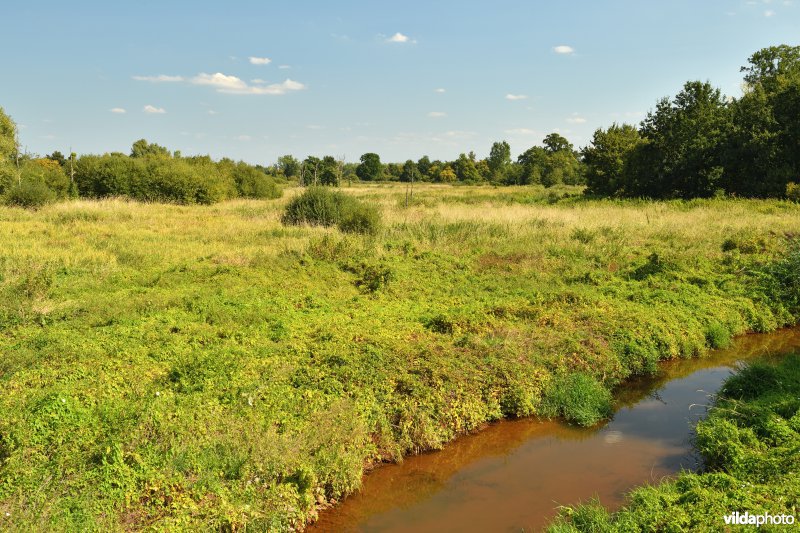 Vallei van de Grote Nete: Zammelsbroek en Grote Laak